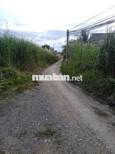 Nhà cấp 4, 75m2, 2 phòng ngủ, gần chợ Long Thượng