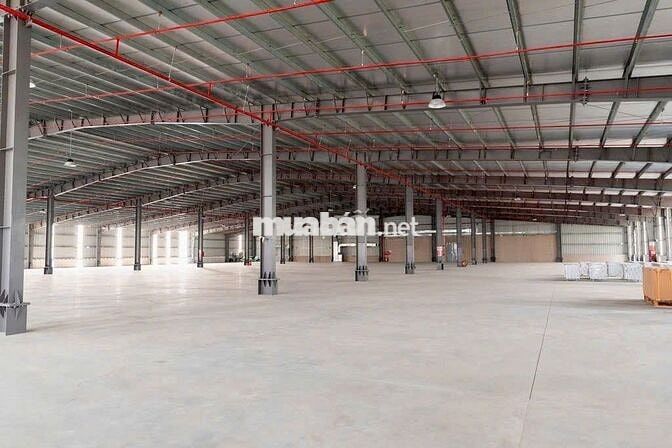 Cho thuê 3 kho mới xây trong KCN Thuận Đạo, Long An (cũ),PCCC tự động