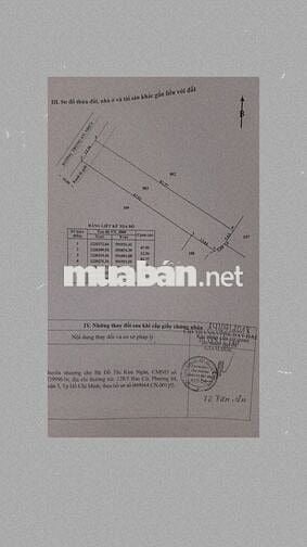 BÁN ĐẤT CHÍNH CHỦ – MẶT TIỀN ĐƯỜNG NHỰA TRUNG AN, XÃ TRUNG AN CỦ CHI