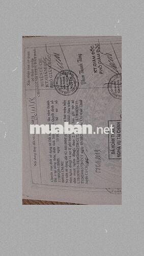 BÁN ĐẤT CHÍNH CHỦ – MẶT TIỀN ĐƯỜNG NHỰA TRUNG AN, XÃ TRUNG AN CỦ CHI