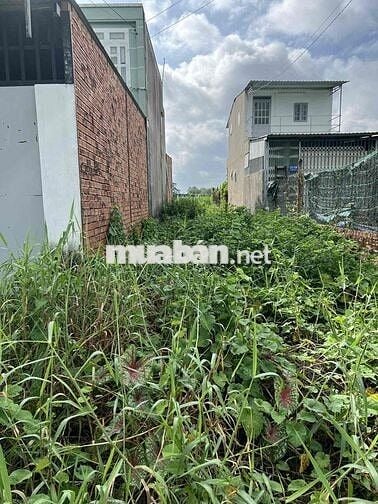 chính chủ cần bán đất tân thạnh đông củ chi gần đường vành đai 3