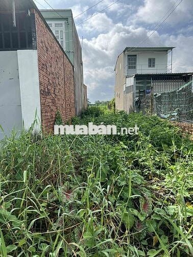 chính chủ cần bán đất tân thạnh đông củ chi gần đường vành đai 3