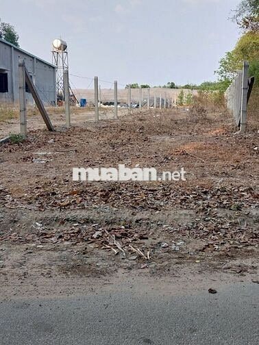 ĐẤT MẶT TIỀN THỔ CƯ 100% đường Tăng Thị Hội