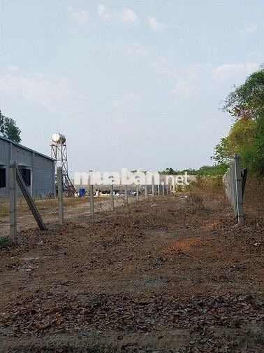 ĐẤT MẶT TIỀN THỔ CƯ 100% đường Tăng Thị Hội