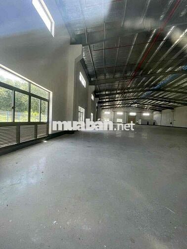 3900m NHÀ XƯỞNG KCN BẾN CÁT CHO THUÊ