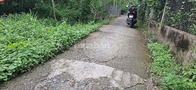 Bán đất Vĩnh Hòa Chợ Lách Bến Tre giá 590tr/1 công . Lộ đan 2.2m 