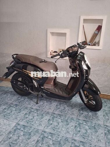 Scoopy 2024. Khóa ga biển 43 Cực đẹp