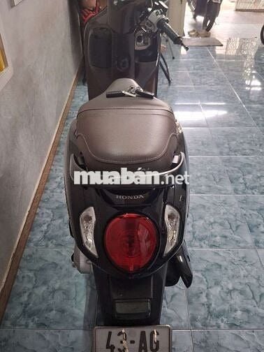 Scoopy 2024. Khóa ga biển 43 Cực đẹp