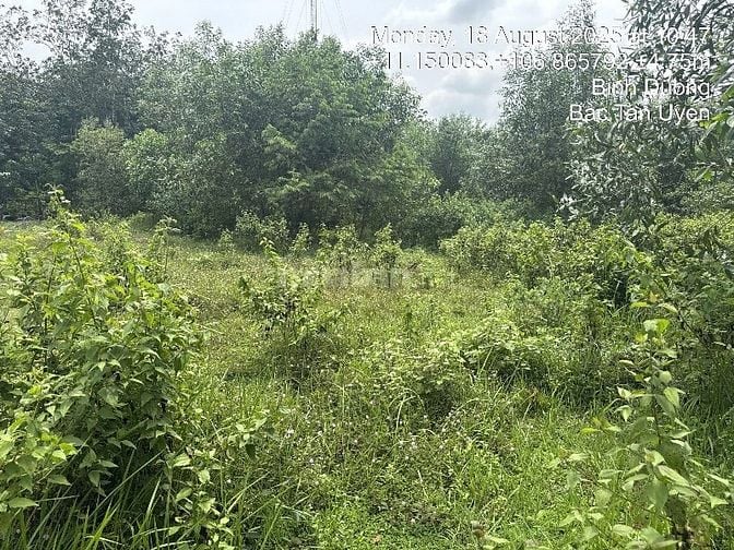 CÔNG TY ĐẤU GIÁ HỢP DANH MINH PHÁP THÔNG BÁO ĐẤU GIÁ TÀI SẢN