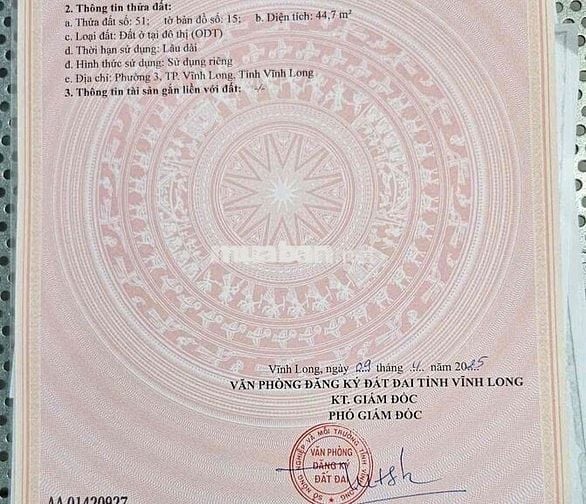 NỀN GỌN NHỎ XINH CẤT NHÀ LUNG LINH TRUNG TÂM Phường 4 cũ