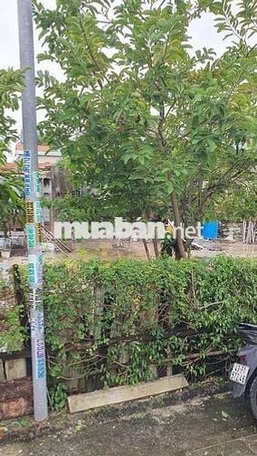 Tài chính Thấp Đừng Vội lướt qua