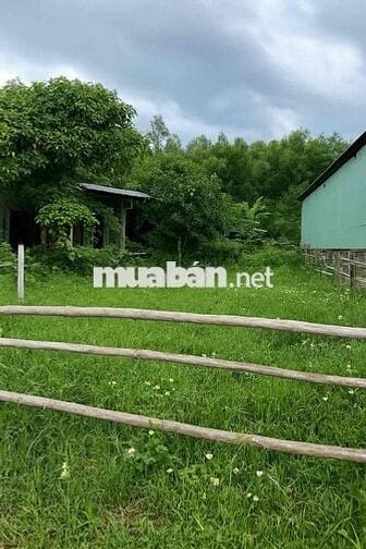 💥 CẦN BÁN LÔ ĐẤT GẦN TRỤC ĐƯỜNG NAM KỲ KHỞI NGHĨA – THÔN GÒ HÀ, XÃ HÒA