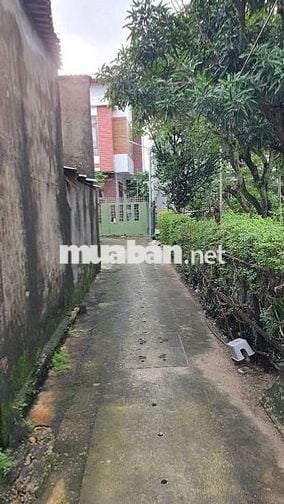 Tài chính Thấp Đừng Vội lướt qua