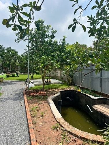 🏗️ THẾ VẠN NHÀ ĐẤT – BÁN 5.000M² ĐẤT XÃ ĐÔNG MỸ – THANH TRÌ – ĐƯỜNG 1