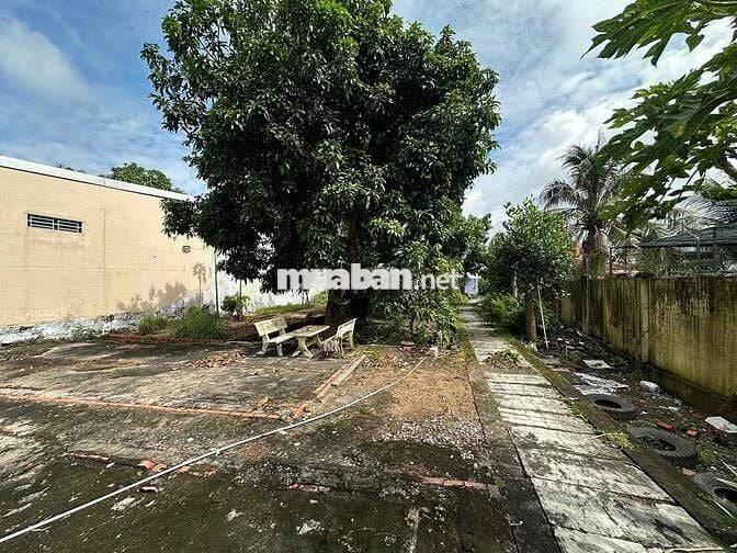 🏡 Cần bán đất mặt tiền đường lớn