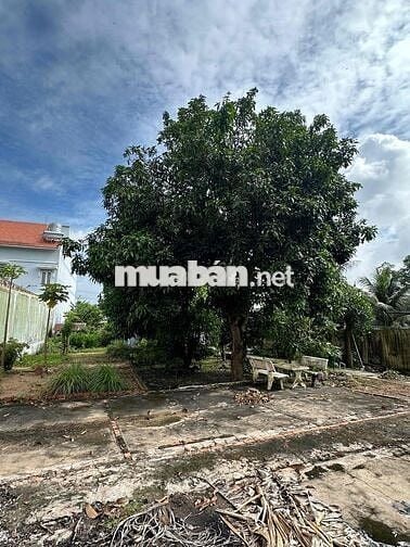 🏡 Cần bán đất mặt tiền đường lớn