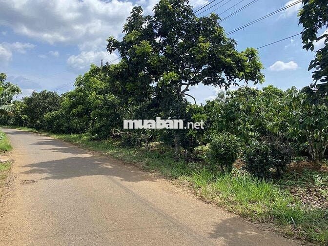 Cần bán gấp lô đất XãLộc Đức 146m2 thổ cư view săn mây công chứng ngay