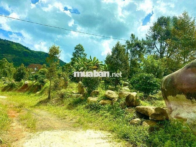 Cần bán gấp lô đất XãLộc Đức 146m2 thổ cư view săn mây công chứng ngay