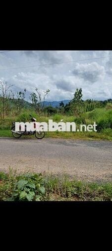 Chính Chủ Cần Bán Lô Đất Thôn 8, Xã Lộc Nam Bảo Lâm, Lâm Đồng