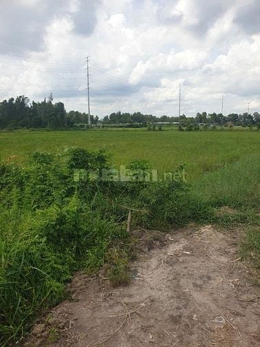 Đất Lúa Đường Lệ Nhà Nước, Xuân Thới Thượng, HM Giá Rẻ 