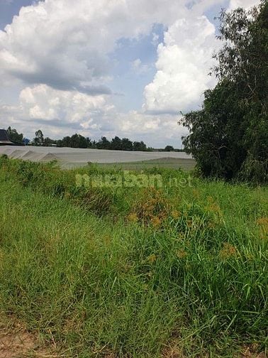 Đất Lúa Đường Lệ Nhà Nước, Xuân Thới Thượng, HM Giá Rẻ 