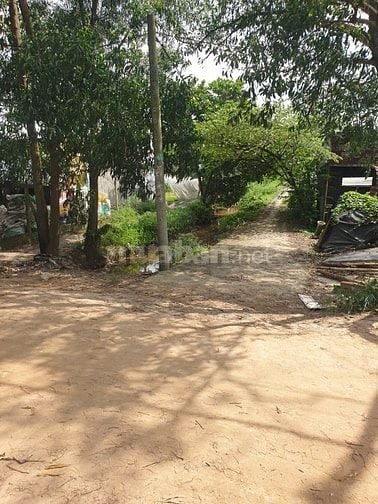 Đất Lúa Đường Lệ Nhà Nước, Xuân Thới Thượng, HM Giá Rẻ 