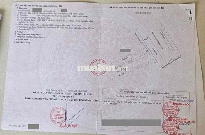 Đất mặt tiền Lê Thị Trung, P Bình Chuẩn, Tp Thuận An.