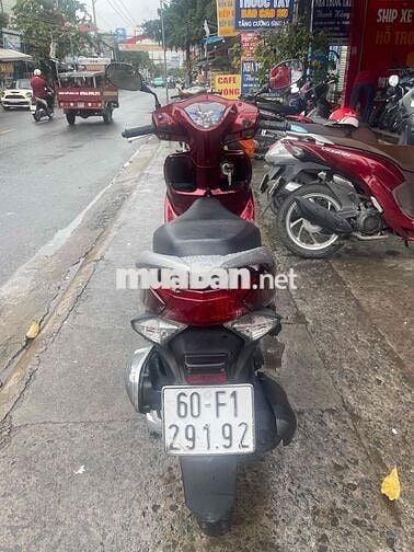 VISSION ZIN ĐẸP BS 60