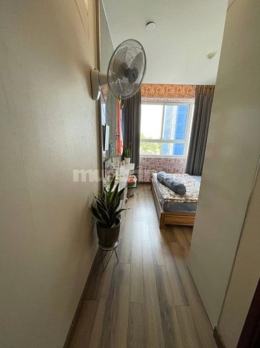 🌿 CẦN CHO THUÊ CĂN HỘ - BOTANICA - TÂN BÌNH 🌿