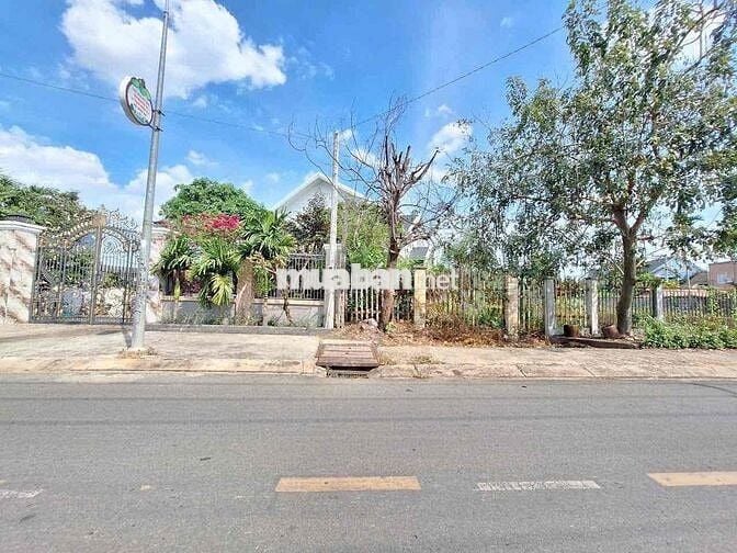 Đất mặt tiền Đường Cầu Tầu, Phường Hưng Định, Tp Thuận An.