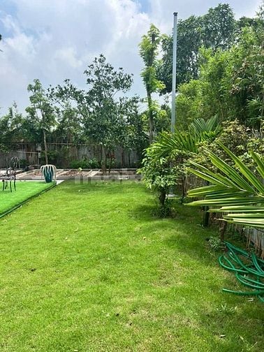 🌿 BÁN ĐẤT 1.200M² XÃ ĐÔNG MỸ – THANH TRÌ – ĐƯỜNG 10M Ô TÔ CONTAINER V