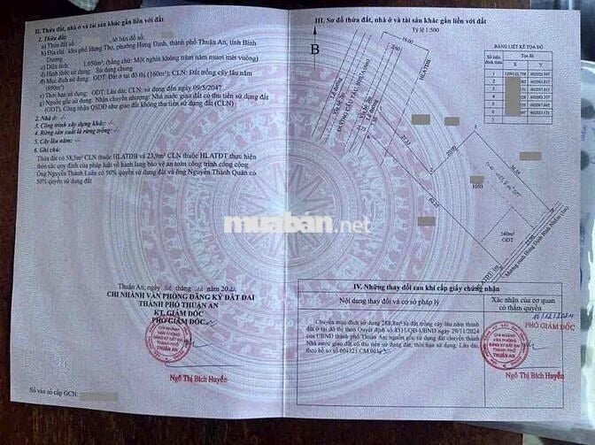 Đất mặt tiền Đường Cầu Tầu, Phường Hưng Định, Tp Thuận An.