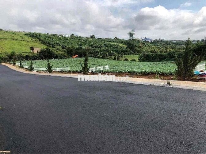 Chủ gửi bán lô đất xã Lộc Quảng, huyện Bảo Lâm, tỉnh Lâm Đồng