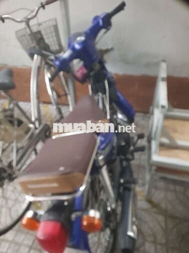 Cub dọn kiểng.  Đẹp ken