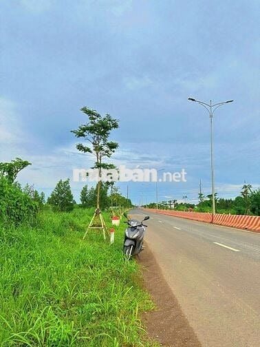 SIÊU HIẾM LÔ BIỆT THỰ 322M2 NGANG 10M MẶT TIỀN ĐƯỜNG TRÁNH QL55