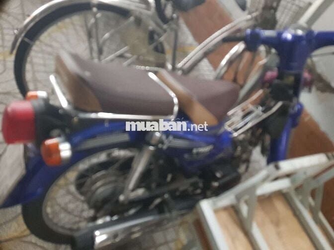 Cub dọn kiểng.  Đẹp ken