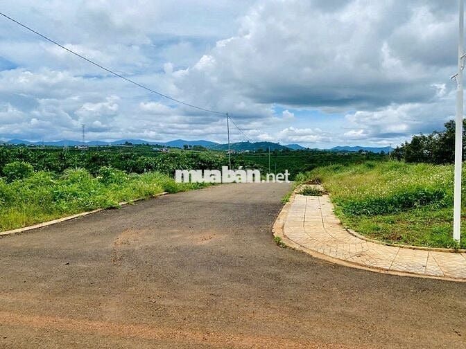 LÔ ĐẤT ĐẸP CHÍNH CHỦ - GIÁ TỐT -  Vị Trí Huyện Di Linh, Tỉnh Lâm Đồng