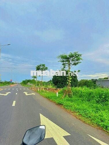 SIÊU HIẾM LÔ BIỆT THỰ 322M2 NGANG 10M MẶT TIỀN ĐƯỜNG TRÁNH QL55