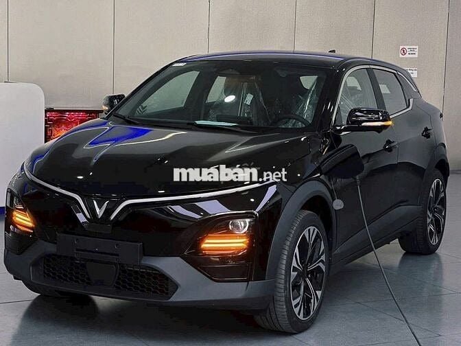 VF6 PLUS LIMITED - Tiêu chuẩn Mỹ - Số lượng có hạn