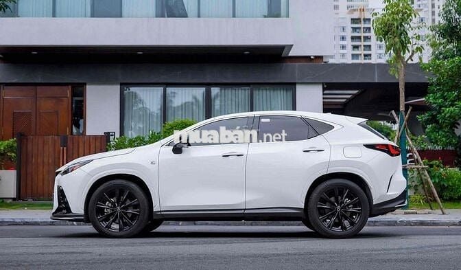 Lexus_NX350_F Sport Model 2024 Bank 90%
