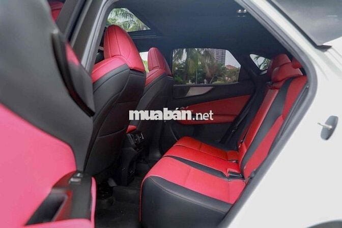 Lexus_NX350_F Sport Model 2024 Bank 90%