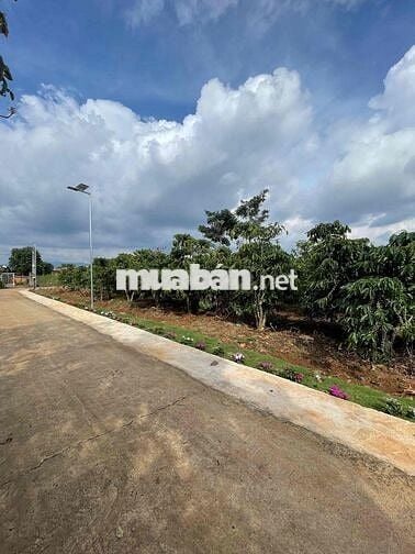 🌿 BÁN ĐẤT THANH BÌNH (BÌNH THẠNH CŨ) – GIÁ CHỈ 580 TRIỆU 🌿