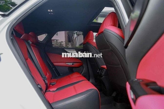 Lexus_NX350_F Sport Model 2024 Bank 90%