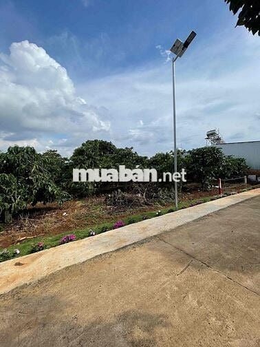 🌿 BÁN ĐẤT THANH BÌNH (BÌNH THẠNH CŨ) – GIÁ CHỈ 580 TRIỆU 🌿