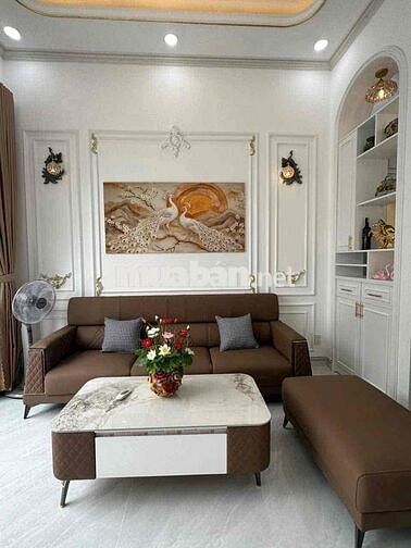 Nhà Tân Cổ Điển P.9 đường Ô Tô cách Trần Thị Thơm 100m