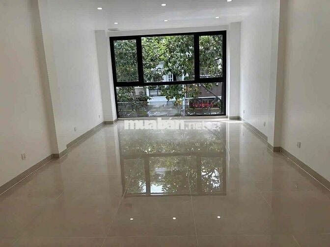 Nguyên căn Mặt Tiền Trần Quang Khải Q1 có lề 4,4 x 11m x Thang Máy