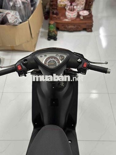 Bán mio dọn full kiểng mới bstp chính chủ