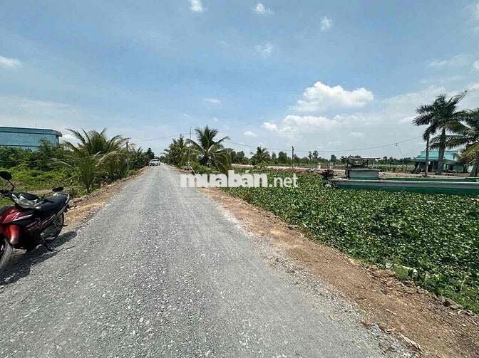 1717m Đất Vườn Cho Chuyển Thổ,Đường 8m giá đầu tư