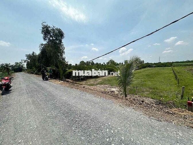 1717m Đất Vườn Cho Chuyển Thổ,Đường 8m giá đầu tư