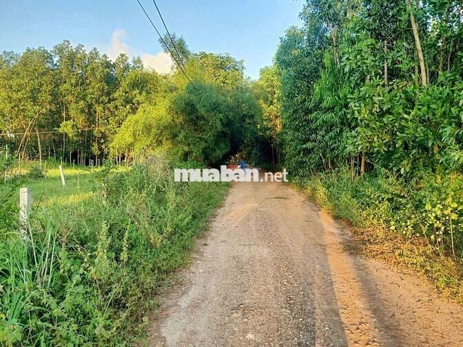 BÁN 1000M2 ĐẤT THỔ - CÁCH QL55 200M - NẰM KDC HIỆN HỮU !